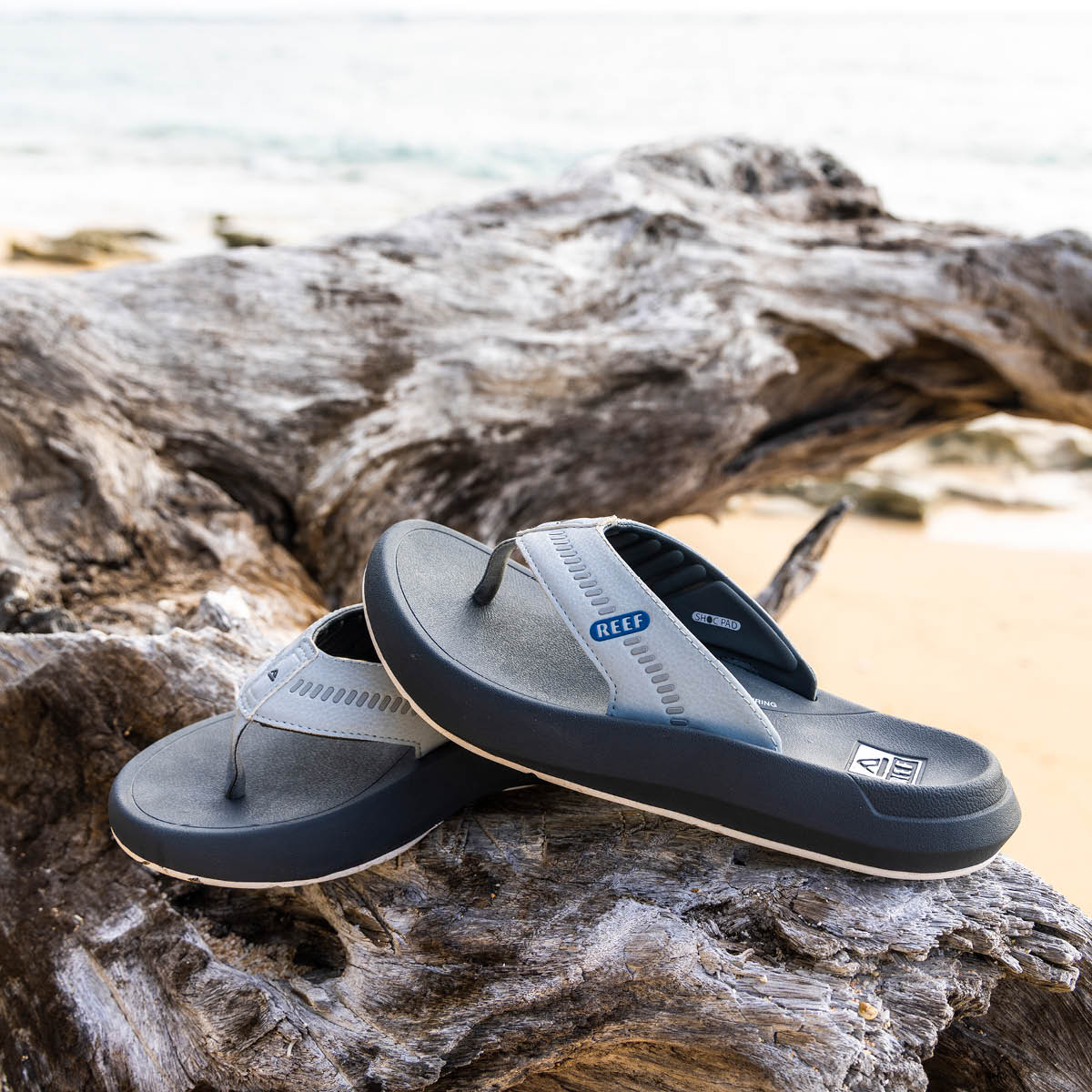 Cruiser - Image 11