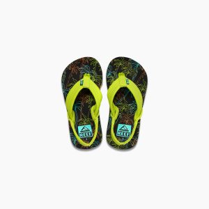 Little Ahi