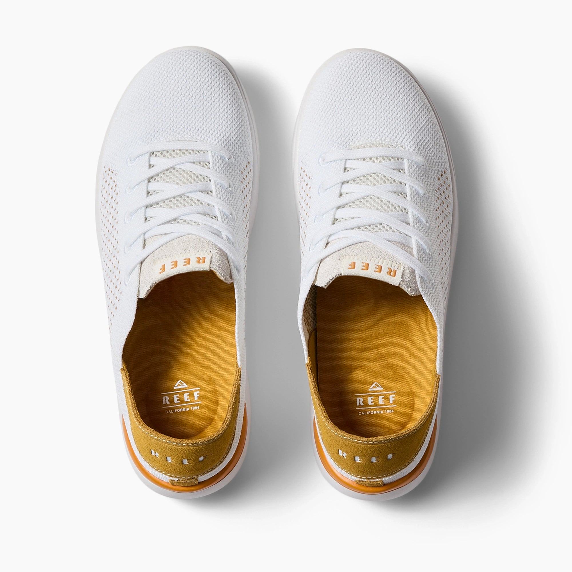 Swellsole Neptune - Image 3