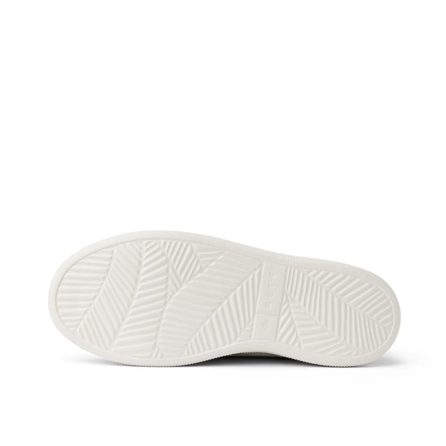 Reef Neptune - Image 7
