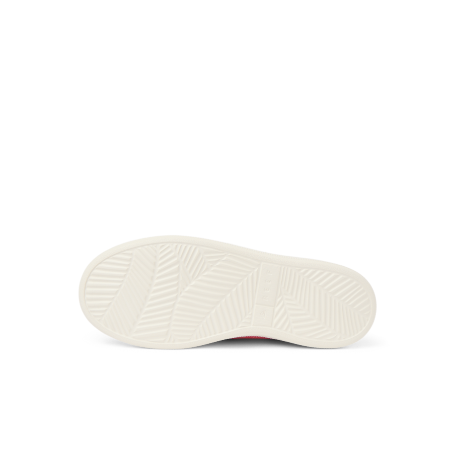 Reef Neptune - Image 8