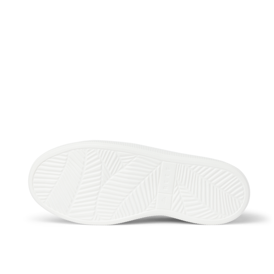 Reef Neptune - Image 7